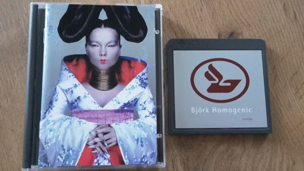 bjork---homogenic-A.jpg