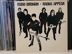 Radio-Birdman---Radios-Appear.jpg