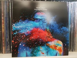 Steven-Wilson---How-Big-The-Space-1_20180725-1846.jpg